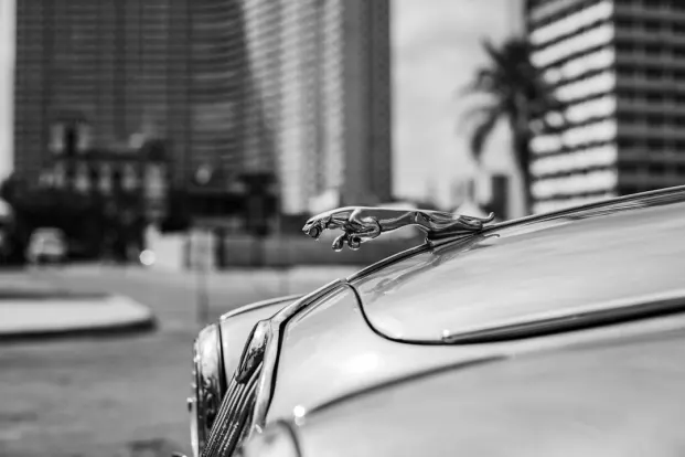 PocketWin Kasino Android/iOS aplikace