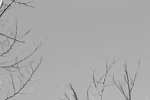 PocketWin Kasino Podpora